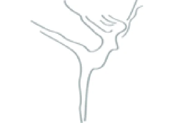 Partner Logo 2